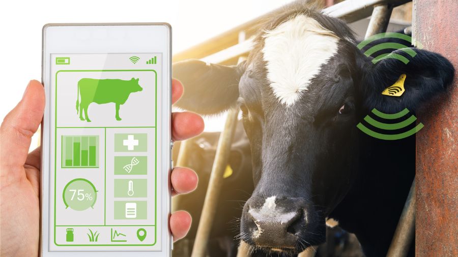 La zootecnia di precisione