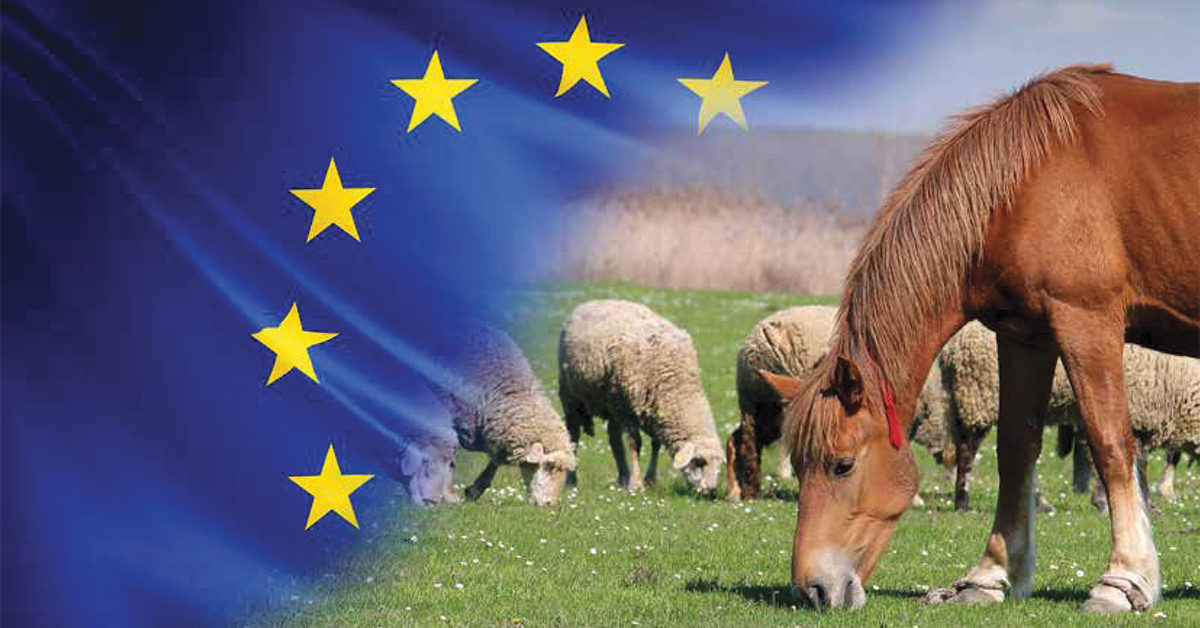 Al CREA Incontro informativo con i rappresentanti dei comparti Ovi-Caprini, Avicoli, Cunicoli ed Equidi