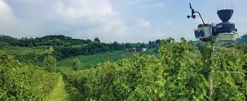 Il CREA al convegno PVsensing sulla lotta alla peronospora della vite con la sensoristica innovativa