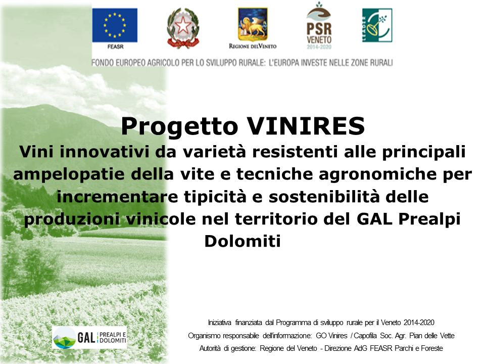 Webinar Progetto VINIRES