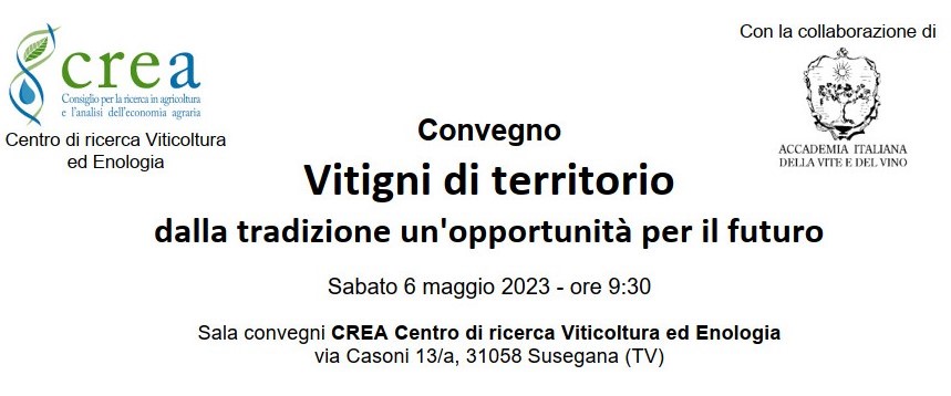 Recupero germoplasma viticolo: 