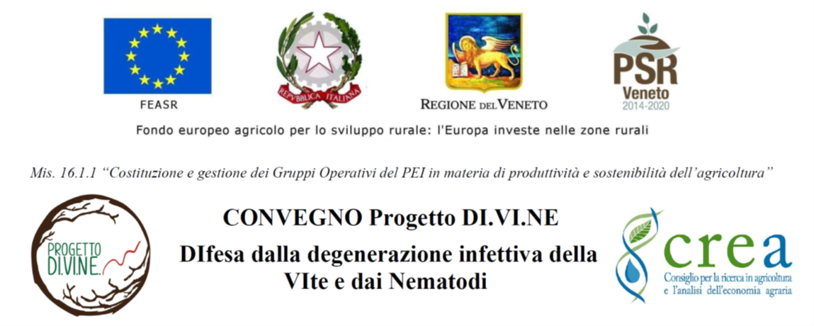 Difesa fitosanitaria della vite: il progetto DI.VI.NE