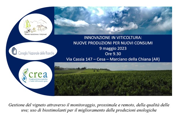 Innovazione in viticoltura: nuove produzioni per nuovi consumi