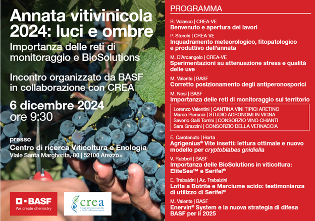Annata vitivinivola 2024: luci e ombre