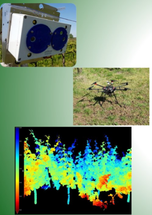 Possibilità di tirocinio nel campo dell’Agricoltura Digitale