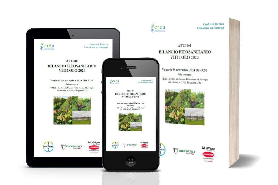 Disponibili gli atti del 