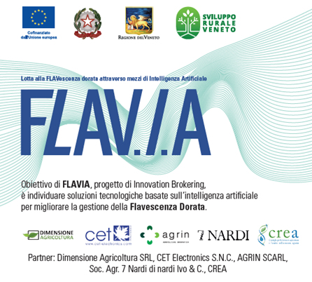 FLAVescenza dorata e Intelligenza Artificiale: anche il CREA nel progetto di Innovation Brokering FLAV.I.A.