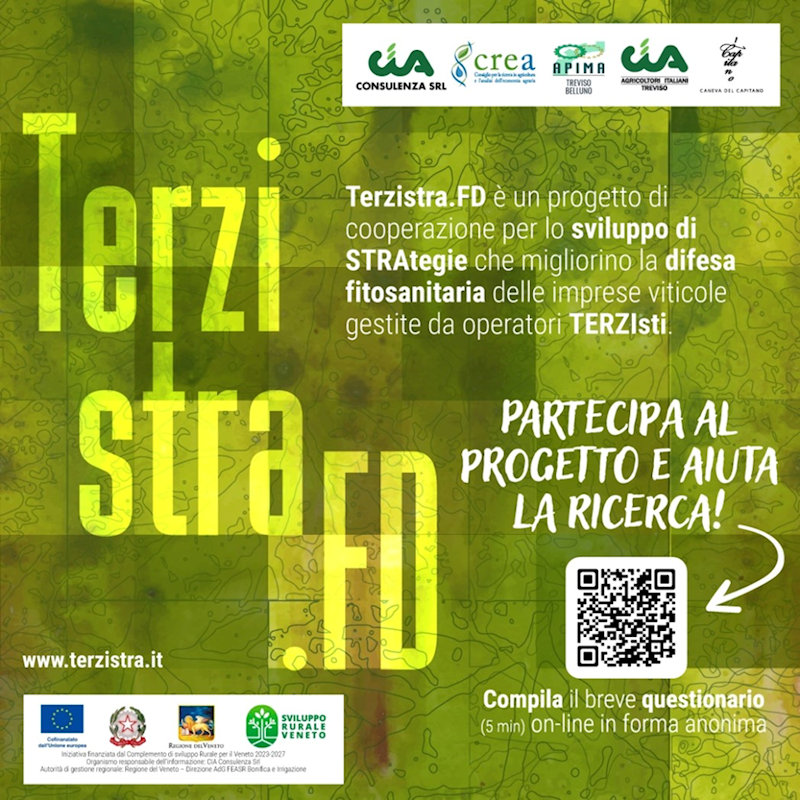 Il CREA Viticoltura Enologia partecipa al progetto TERZISTRA.FD