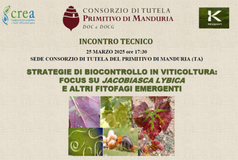 Convegno 