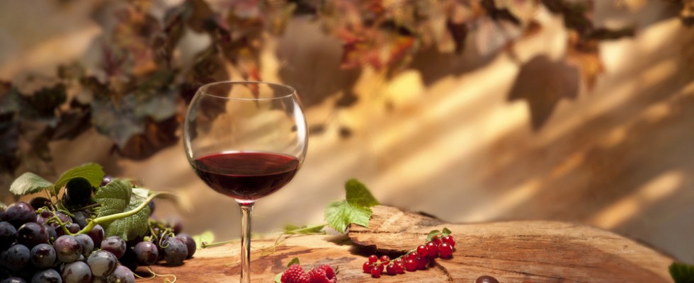 Geologia e Vini: giornata di studio al CREA Viticoltura ed Enologia di Velletri