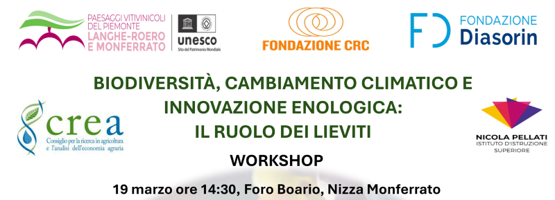 Biodiversità, cambiamento climatico e innovazione enologica: il ruolo dei lieviti