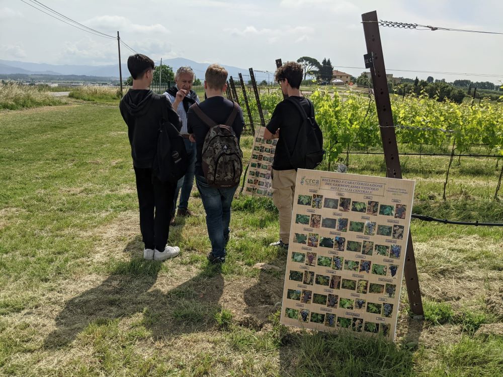 DEMO FARM DAY - Sicurezza ed innovazione in Agricoltura: visita guidata rivolta agli Istituti Agrari della Toscana - Prima giornata