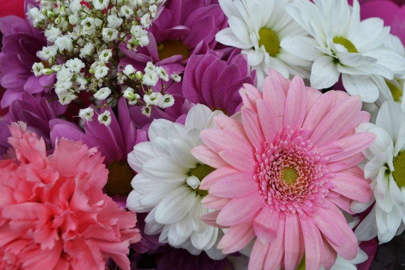 Seminario CREA sull'innovazione varietale