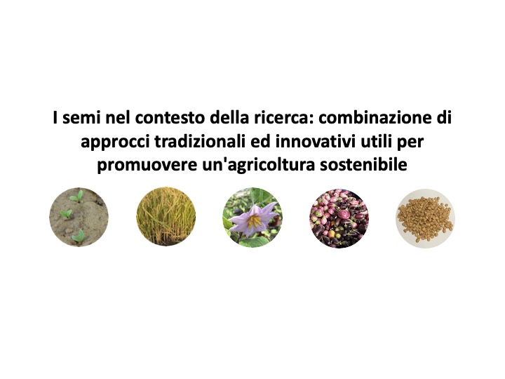 I semi nel contesto della ricerca: combinazione di approcci tradizionali ed innovativi utili per promuovere un'agricoltura sostenibile