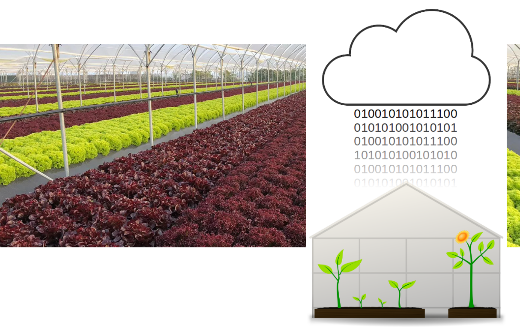 Tecniche avanzate di controllo automatico per colture protette