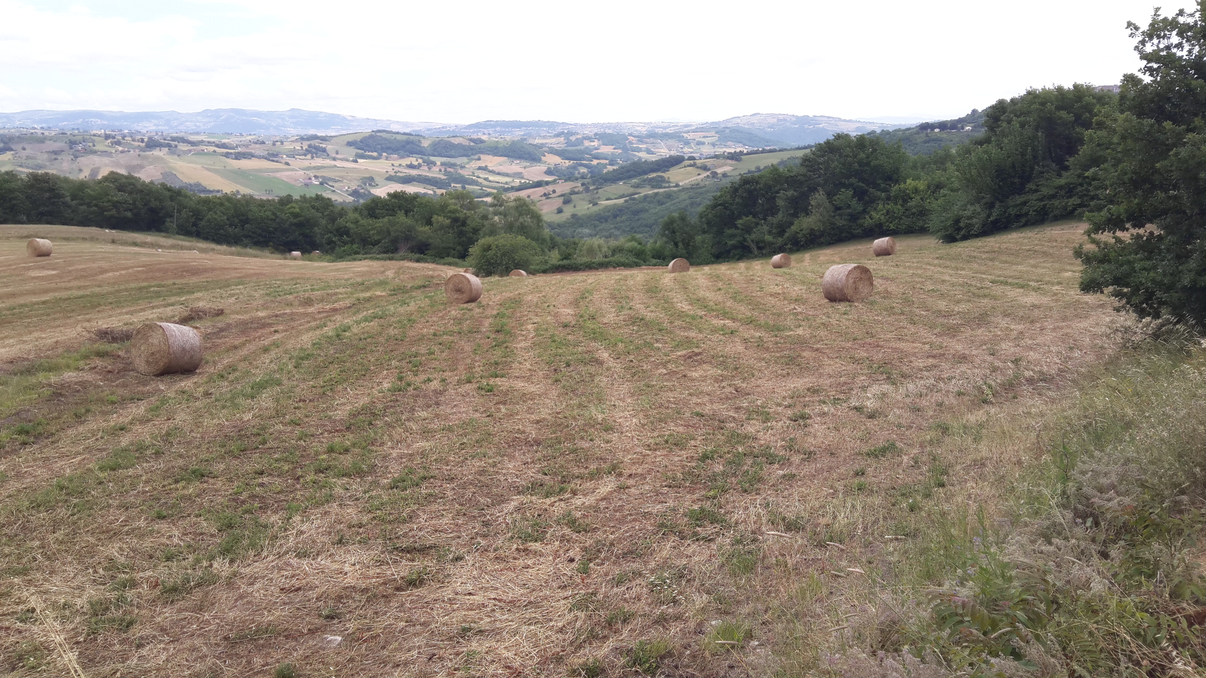Primo convegno LEGUBIOCER