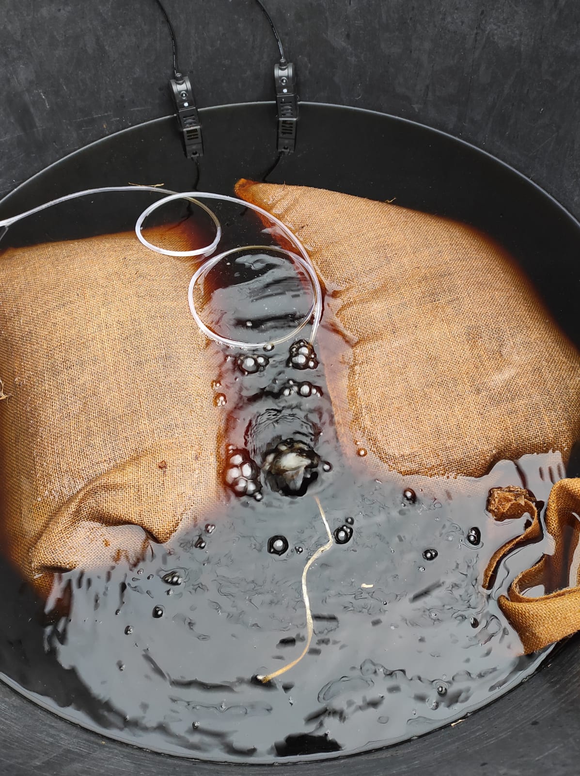 Incremento della sostenibilità agro-ecologica delle coltivazioni ortive intensive nella zona del basso Lazio