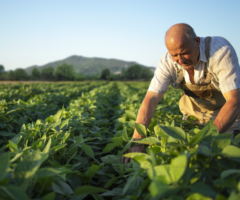 In campo con il progetto ABC