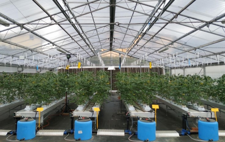 Applicazione di modelli previsionali ‘machine learning’ per la gestione ottimizzata delle colture protette