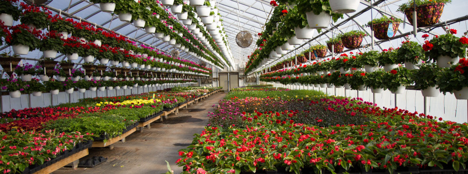 I Convegno Nazionale Orticoltura e Floricoltura