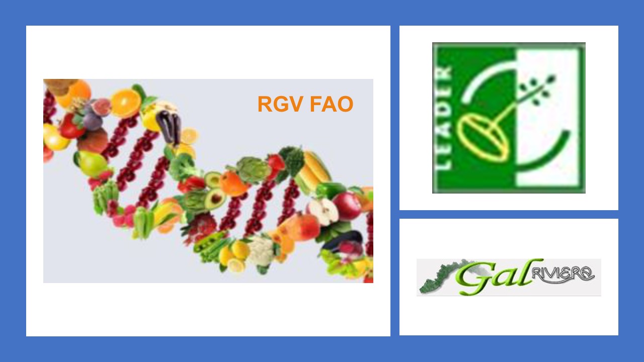 Le biotecnologie a supporto della biodiversità in orto florovivaismo e la conservazione delle risorse genetiche ad uso alimentare