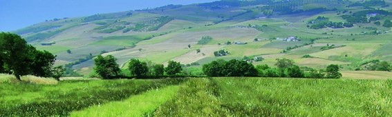 Rotazione colturale: al via i seminari divulgativi del progetto ROSTRI