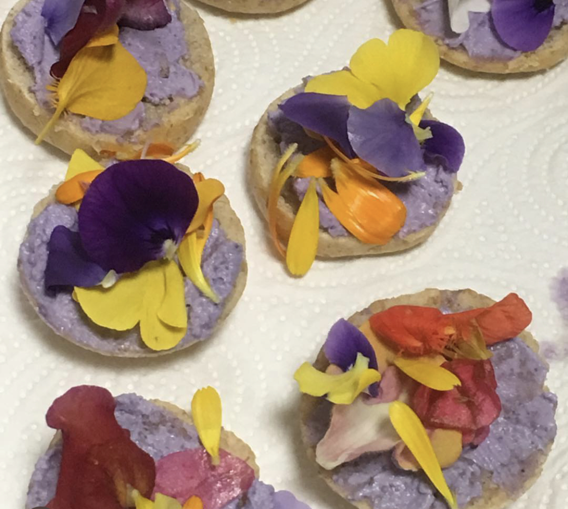 ANTES: convegno finale del progetto