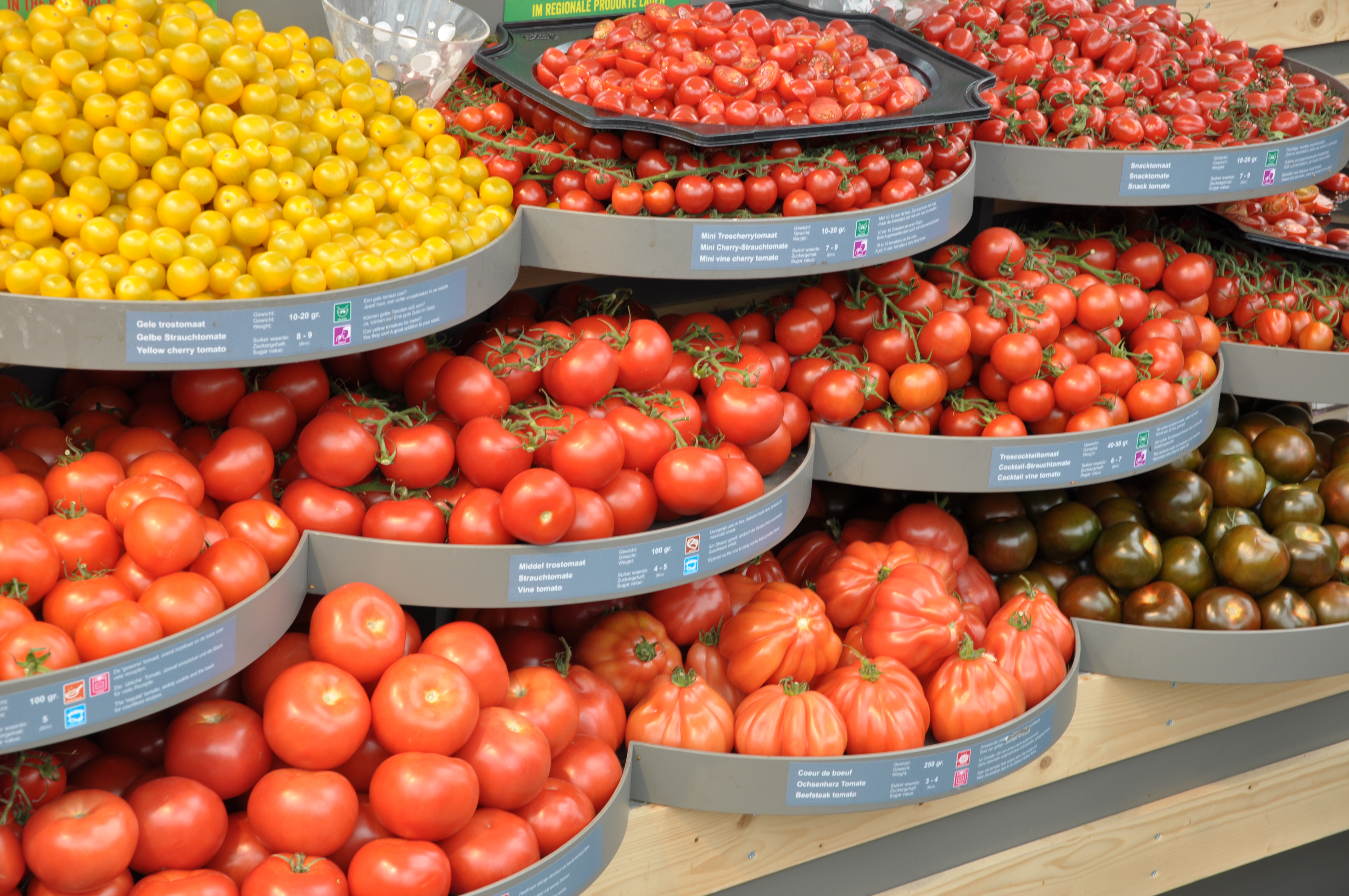 La trasmissione Elisir di RAI 3 al CREA di Pontecagnano per presentare le ricerche scientifiche sul pomodoro