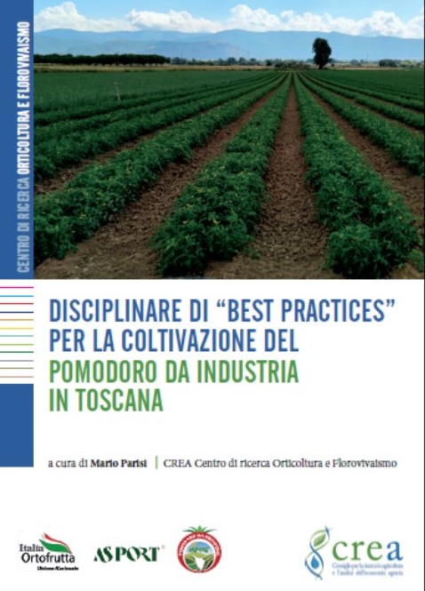 Pubblicato online il DISCIPLINARE DI “BEST PRACTICES” PER LA COLTIVAZIONE DEL POMODORO DA INDUSTRIA IN TOSCANA