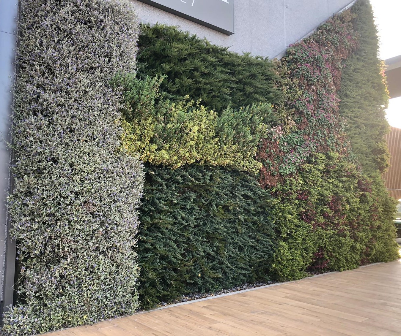 Criteri di costruzione e metodologie per incrementare l’efficienza di giardini verticali, tetti verdi e altre soluzioni architettoniche “verdi”