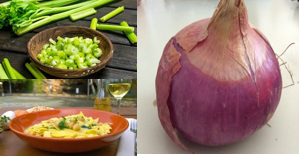 Il sistema dell’agrobiodiversità in regione Campania