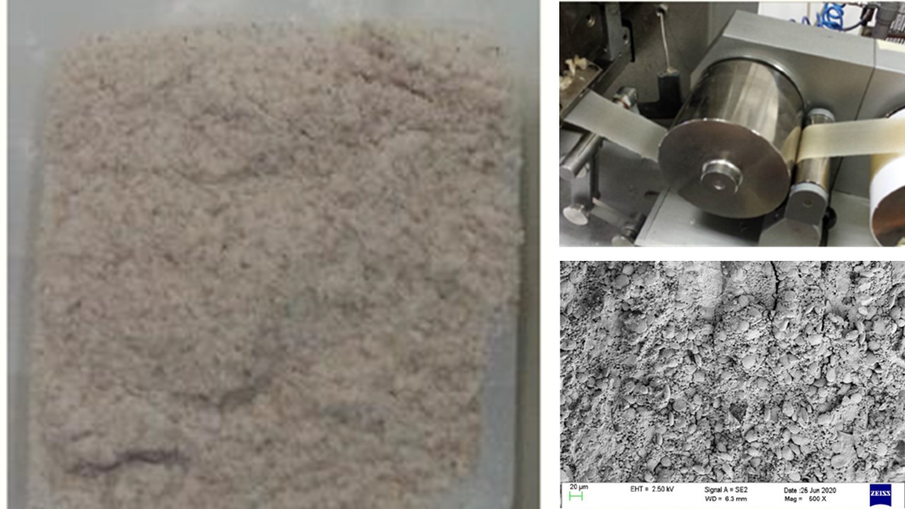 Produzione di bioplastiche da farine di frumento: il perché, il come, e gli effetti della variabilità delle colture