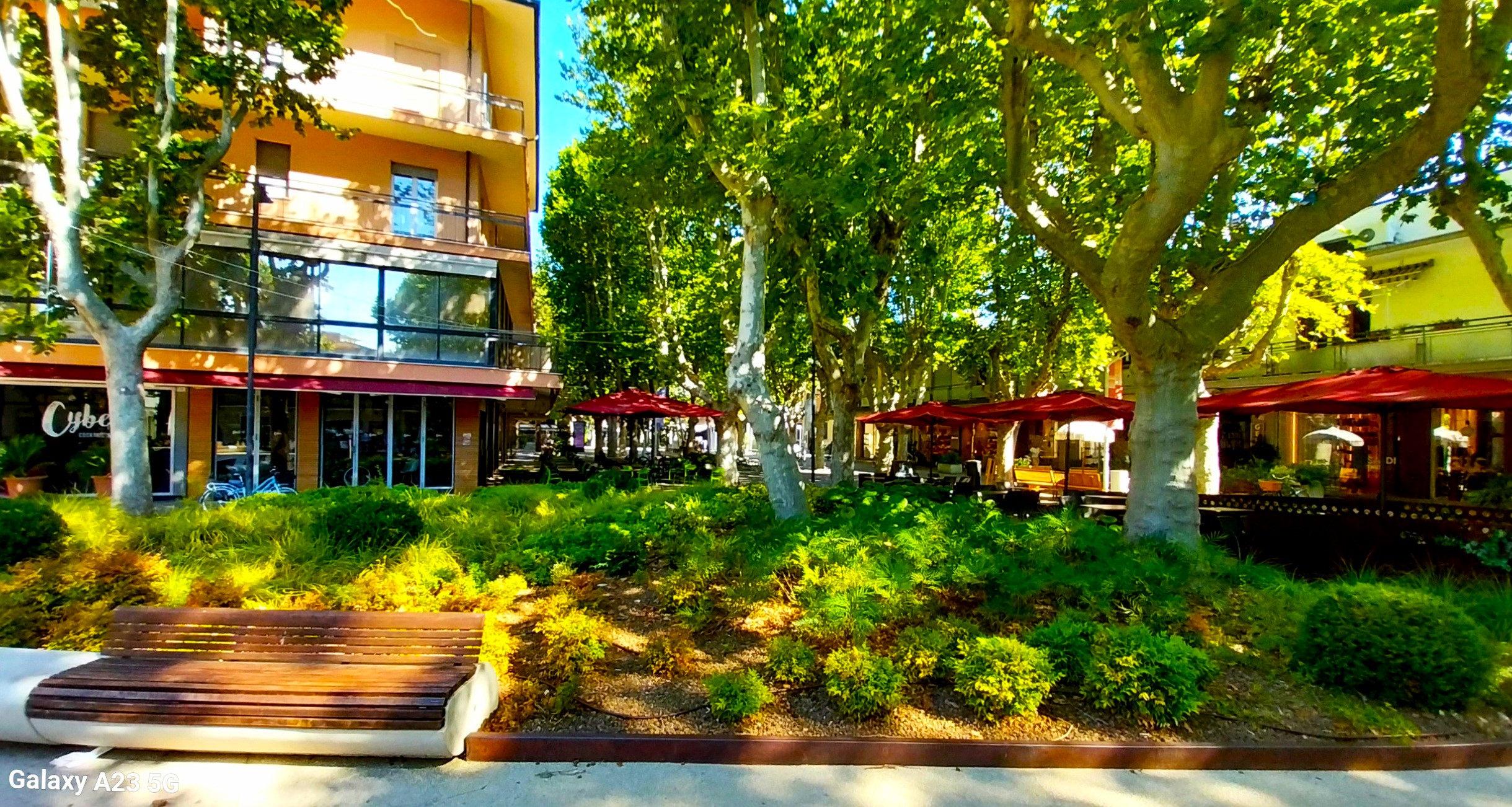 IL VERDE IN CITTA' - Proprietà e benefici del verde urbano