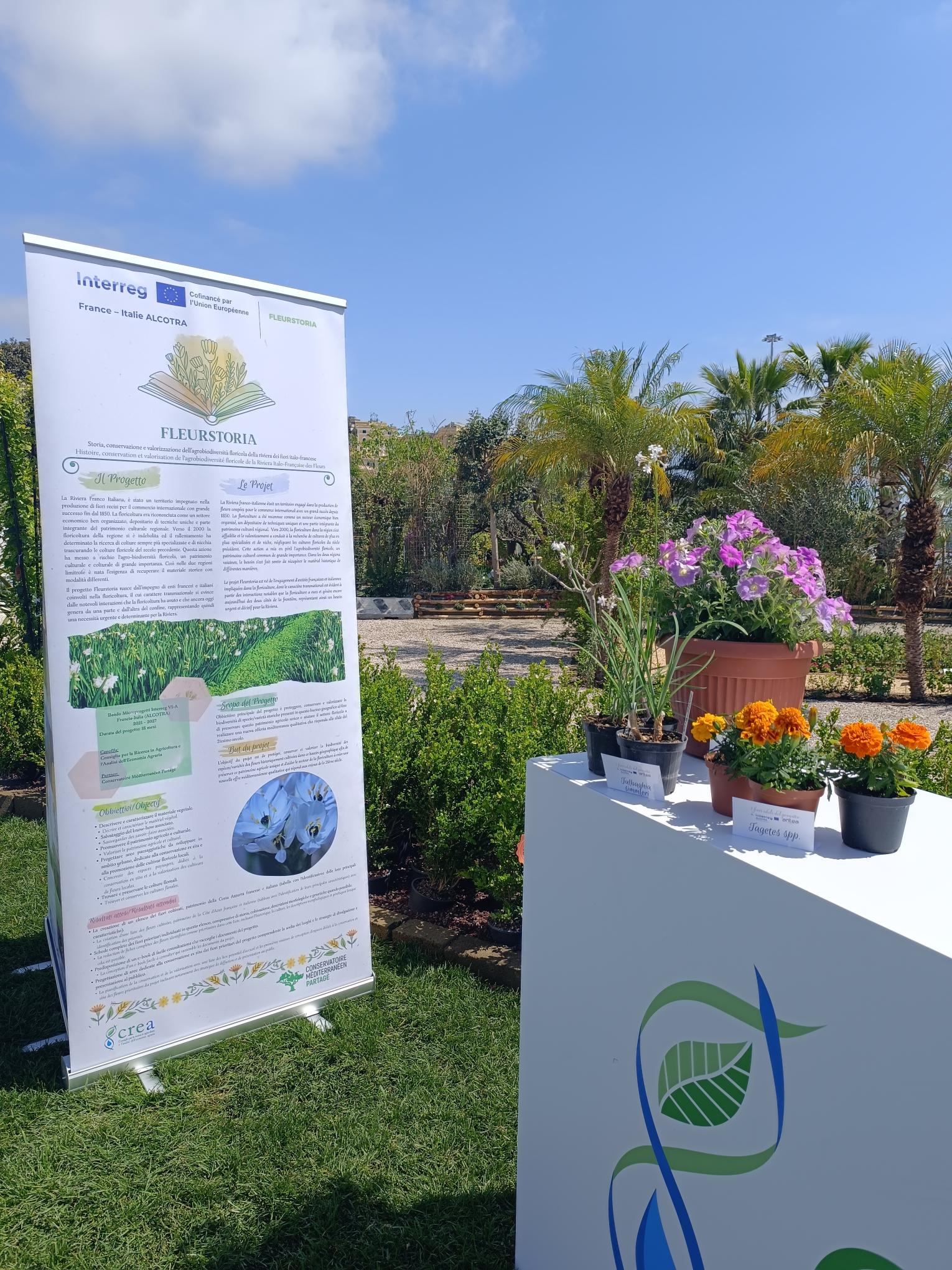 Il CREA è capofila del Progetto FLEURSTORIA Il CREA è capofila del Progetto FLEURSTORIA