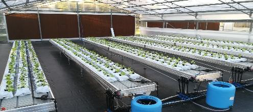 Il Crea presenta i risultati del progetto HT-HG