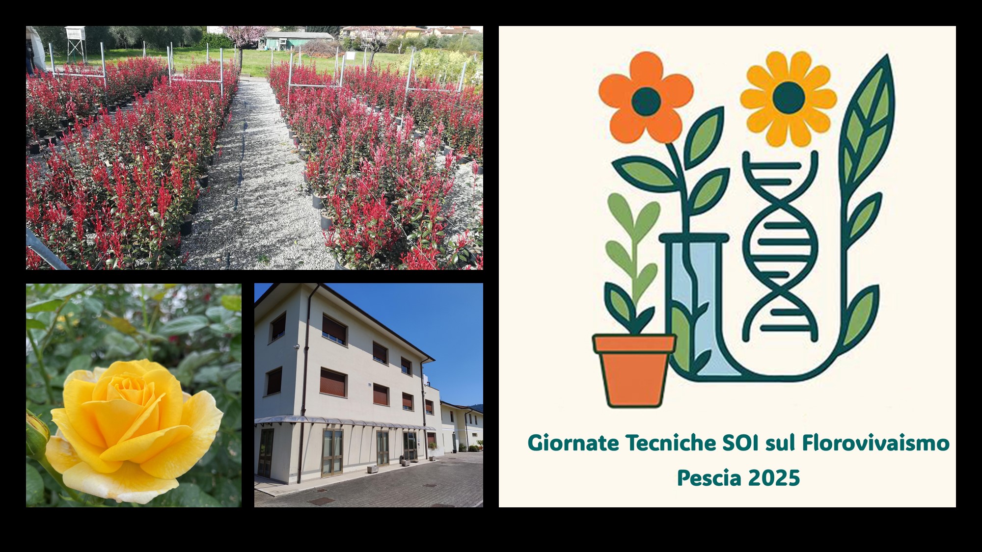 Giornate Tecniche SOI sul Florovivaismo - Innovazioni al servizio della filiera