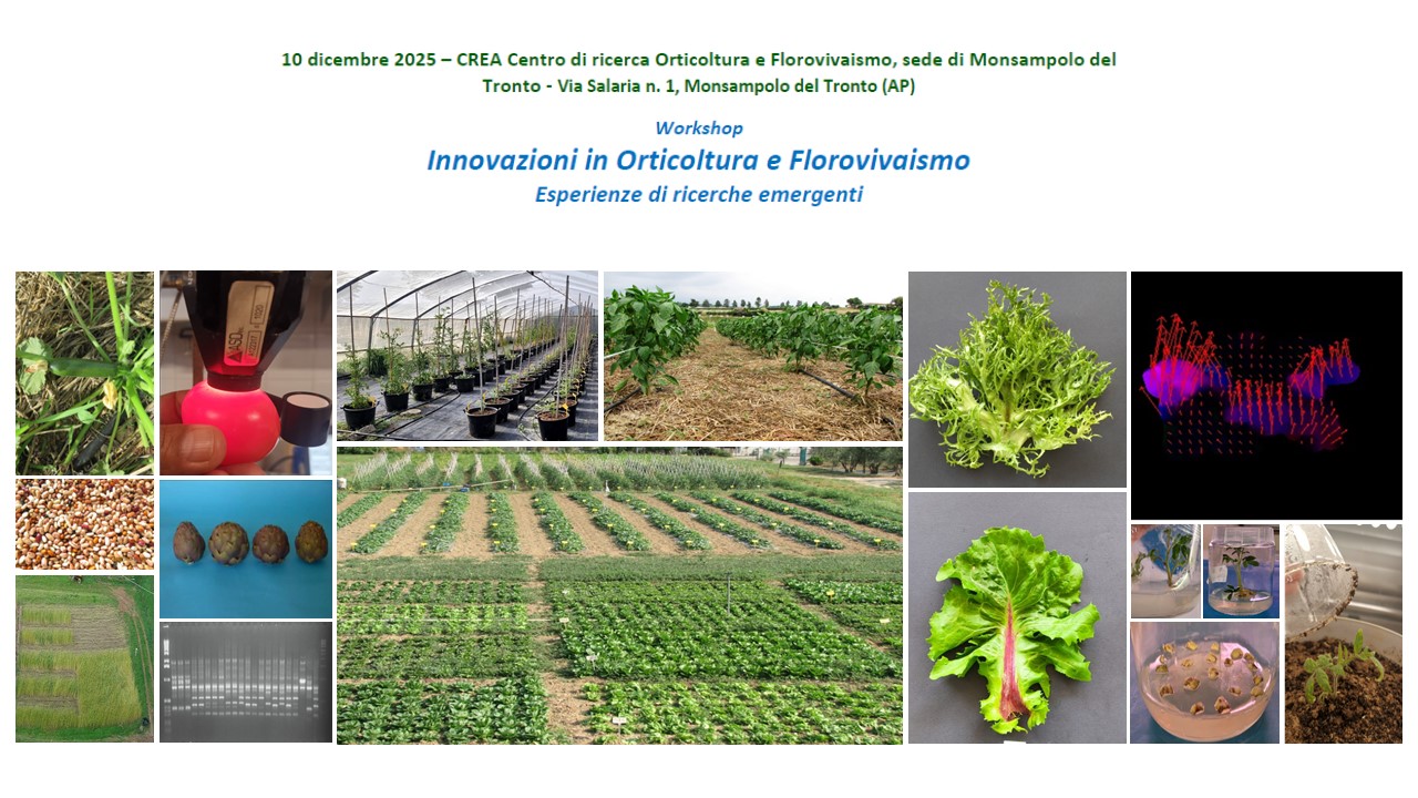 Innovazioni in Orticoltura e Florovivaismo - Esperienze di ricerche emergenti