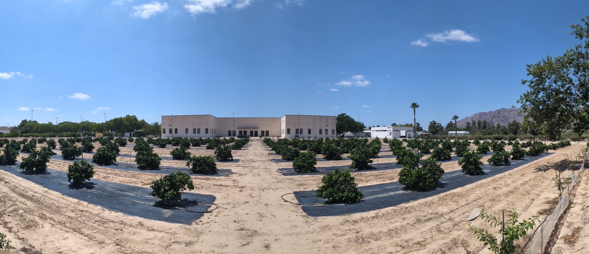 Digitalizzazione e gestione dell’irrigazione