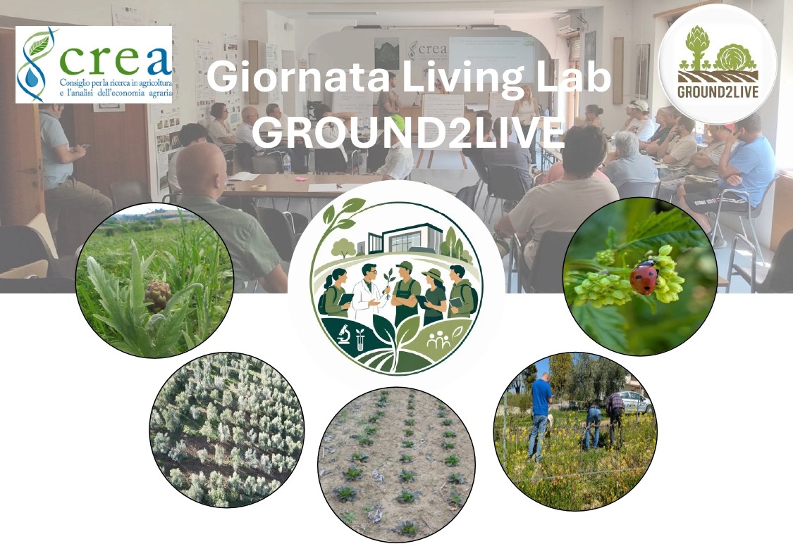 L'agroecologia si fa in campo: un anno di ricerca partecipata