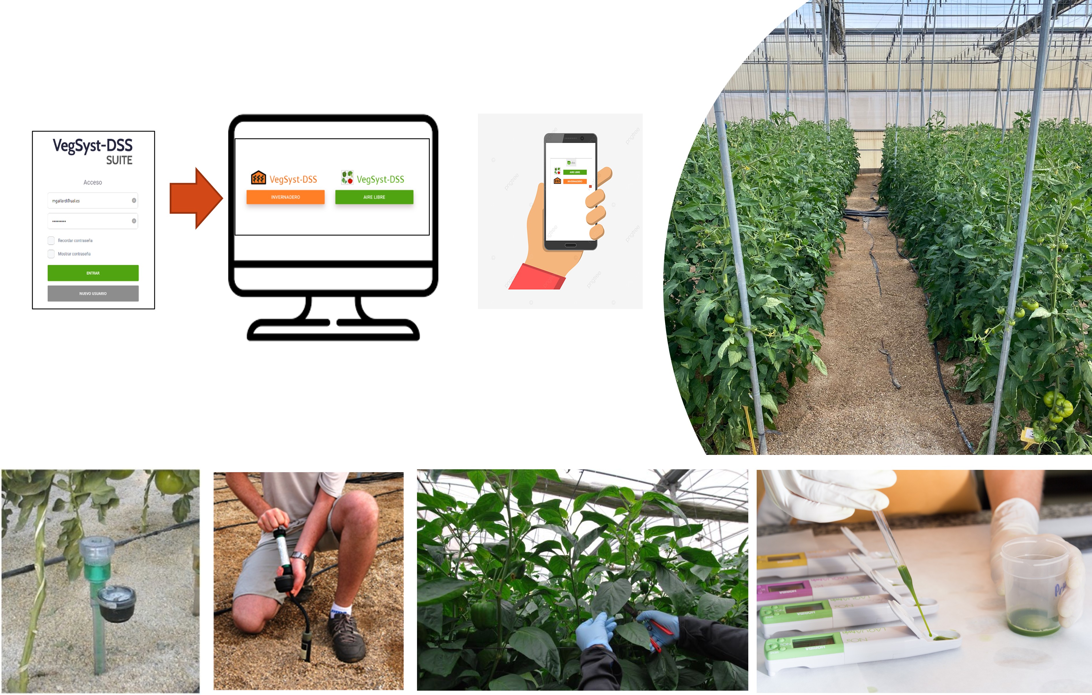 Optimised irrigation and nutrient management in Mediterranean greenhouses