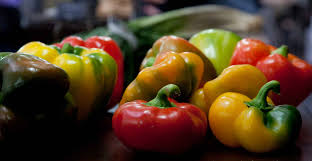 Al CREA incontro divulgativo sul Progetto RIADAg