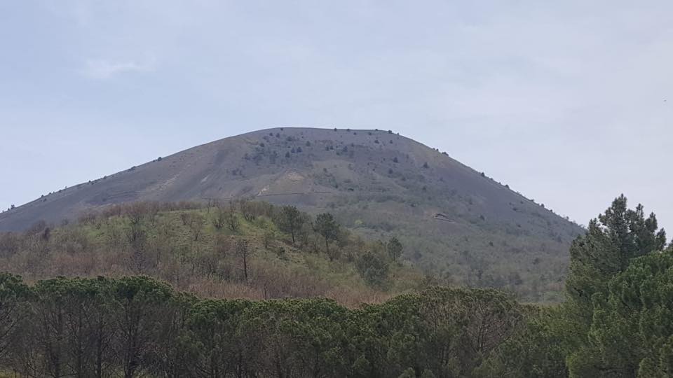 Il CREA all'incontro divulgativo sul Progetto VeNaBio “Vesuvio: Natura e Biodiversità”