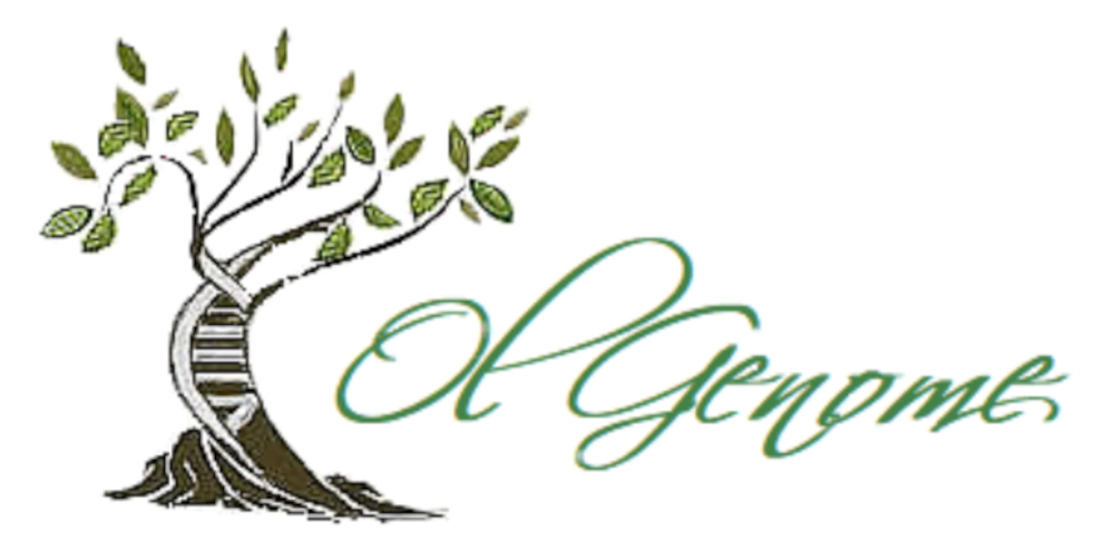 Il CREA organizza il webinar 