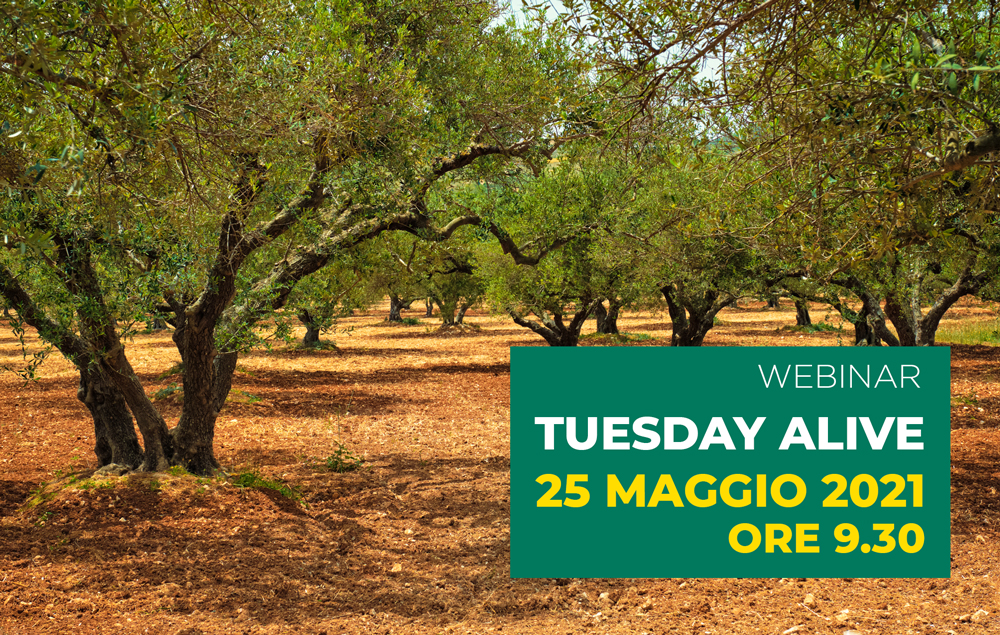 Il CREA organizza il webinar 