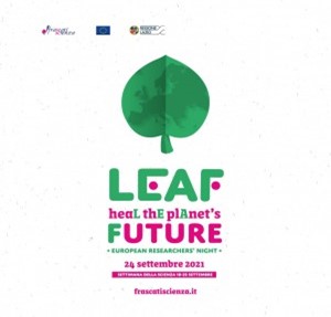 Il CREA organizza il webinar “Alla scoperta dell’olio extravergine di oliva: un viaggio nel tempo”.