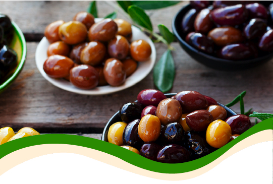 “TRASFORMAZIONE DELLE OLIVE DA TAVOLA: I METODI”.