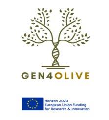Il CREA promuove il GEN4OLIVE INFODAY & MATCHMAKING