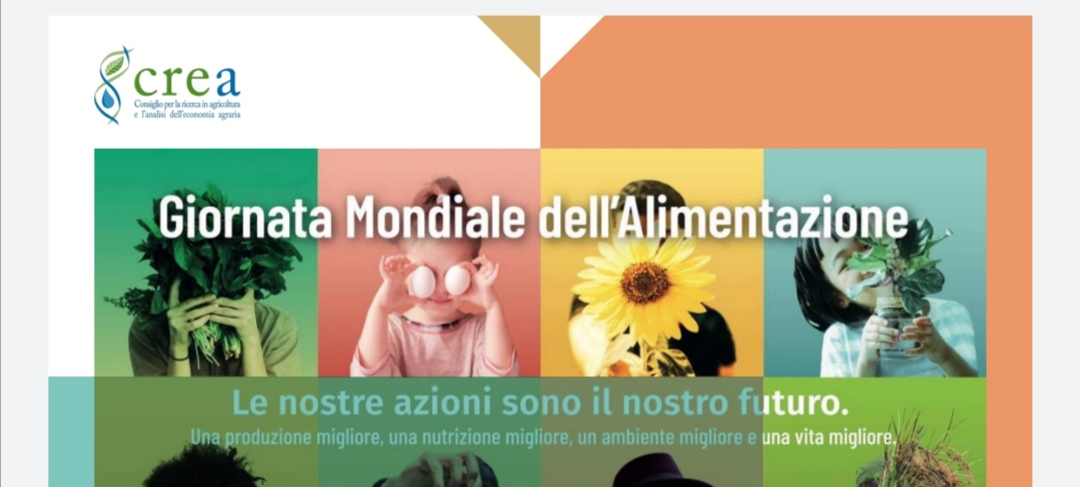 Filiera olivicolo-olearia e sostenibilità: un sistema agroalimentare da potenziare e valorizzare