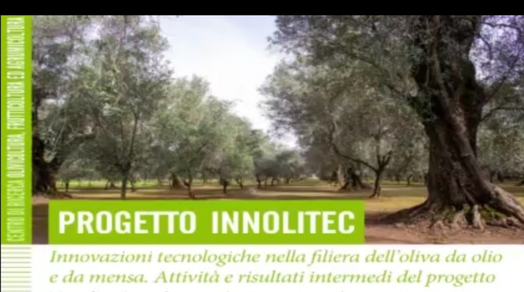 E' disponibile sul canale YOUTUBE del CREA il webinar 