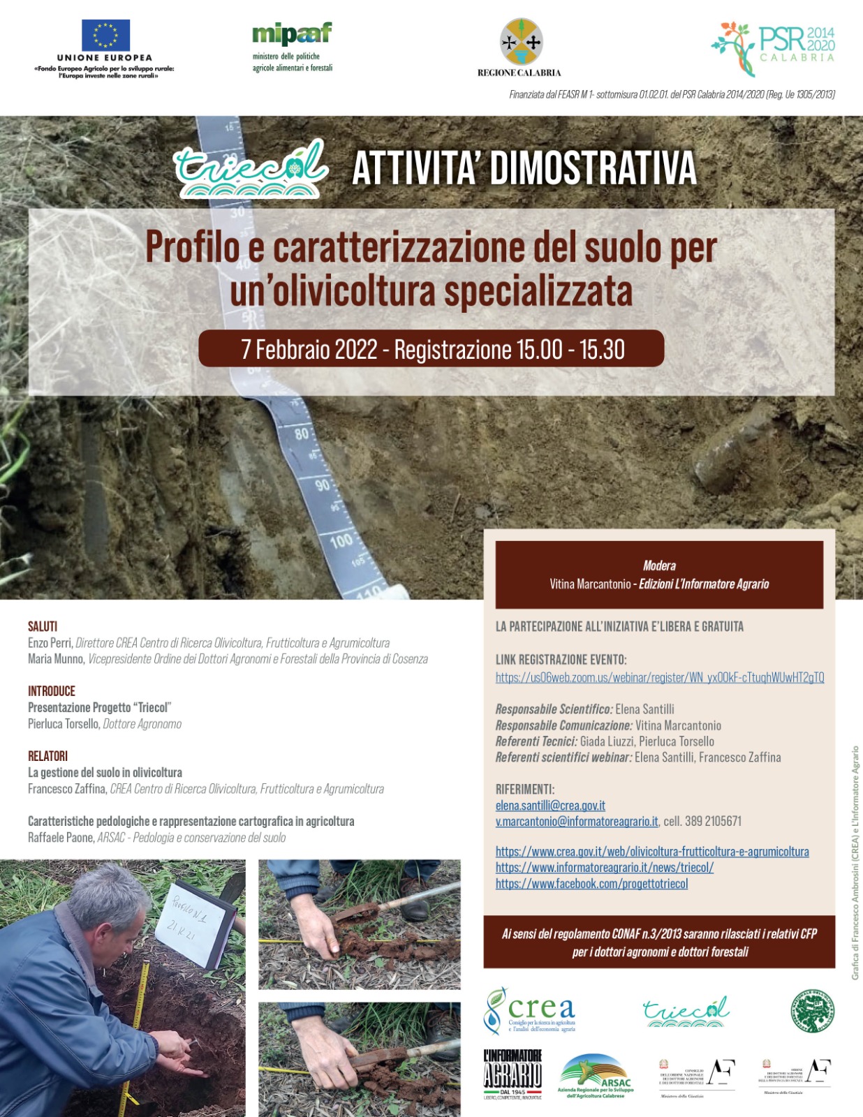 Profilo e caratterizzazione del suolo per un’olivicoltura specializzata